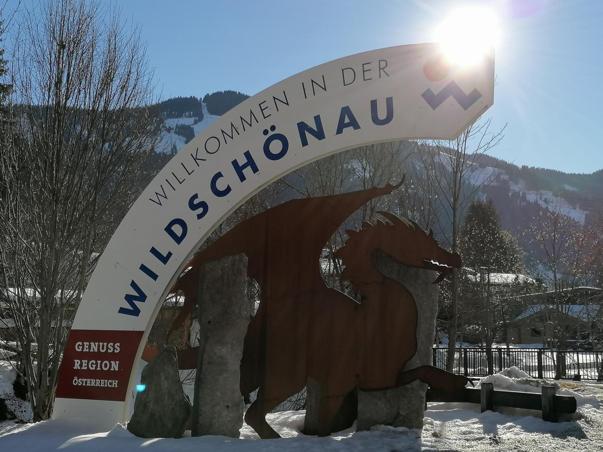 Ferienwohnung Wildschoenau By Fewo-Plan In Panoramalage Wild191 Thierbach Exterior foto